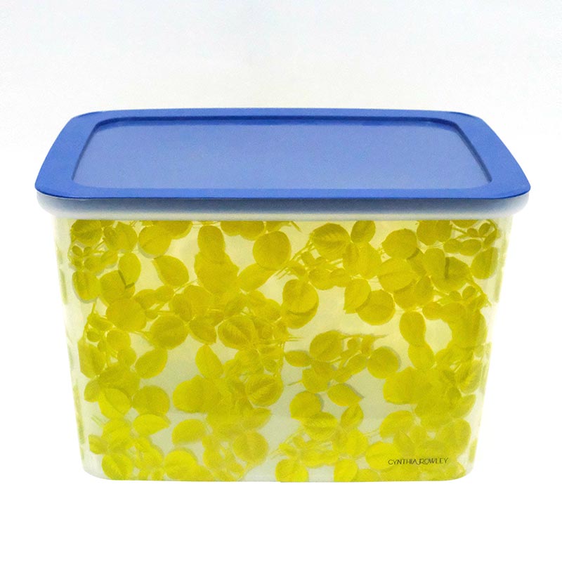 Moulage par injection de boîte de tri dans l'étiquette du moule