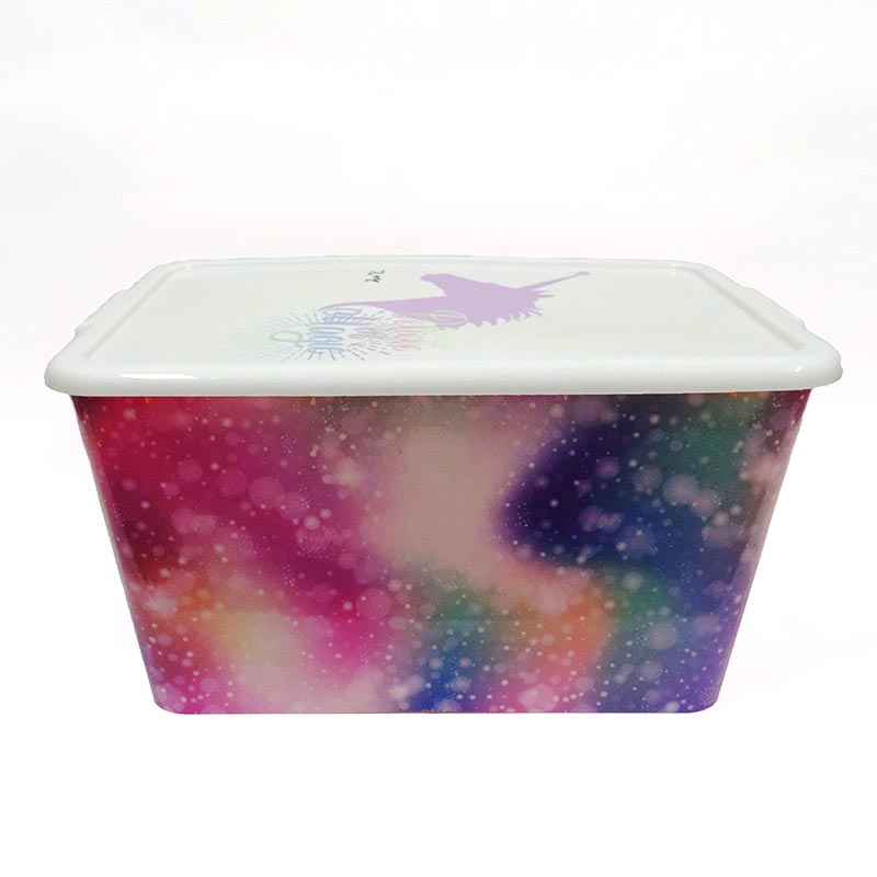 Moulage par injection de bac de stockage dans l'étiquette du moule